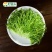 新鲜豌豆苗