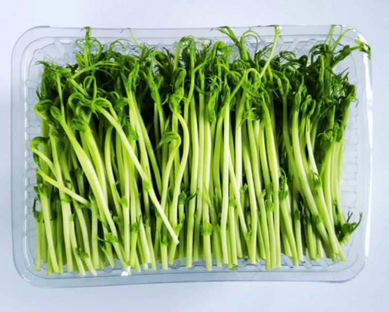 新鲜豌豆苗