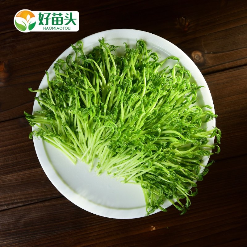 新鲜豌豆苗