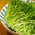 新鲜豌豆苗