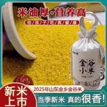 《金谷小米》山东金乡小米/自家种植/产地货源/全国供应