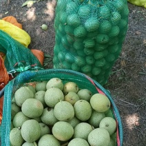青皮核桃