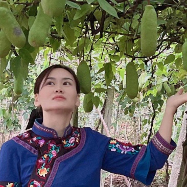 八月瓜（八月炸）网红水果，支持一件代发包邮