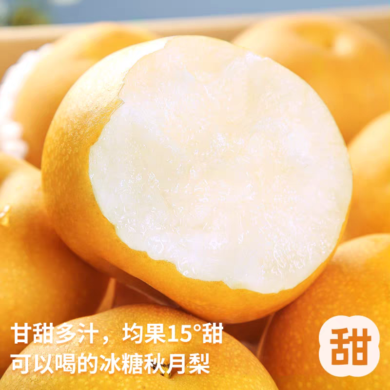 正宗秋月梨产地直销，糖度13度+，化渣度好诚信出货