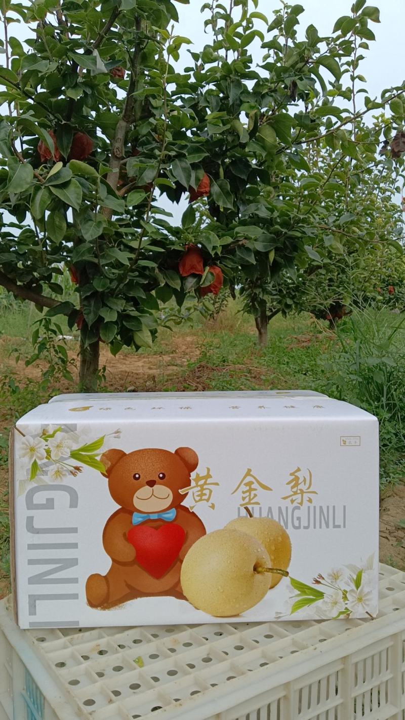 朋友们我这是自己种的没有中间商，请放心购买，货真价实，