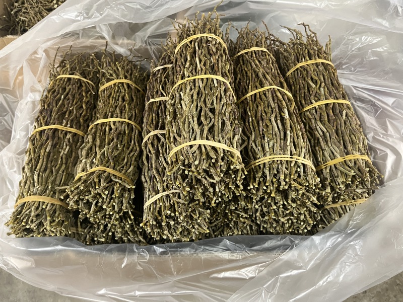 云南西双版铁皮石斛干条捆条一手货源品质保证，干条