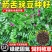 箭舌豌豆种子厂家一手货源批发品质保证价格美丽欢迎联系合作