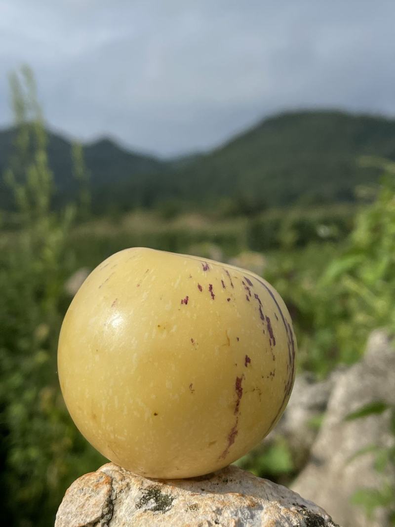云南树熟人参果