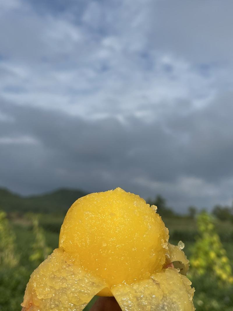 云南树熟人参果