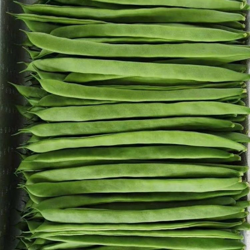 云南保山扁豆/产区直发/货源充足/大量有货