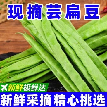 云南高山扁豆/产区直发/货源充足/欢迎选购
