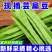 云南高山扁豆/产区直发/货源充足/欢迎选购