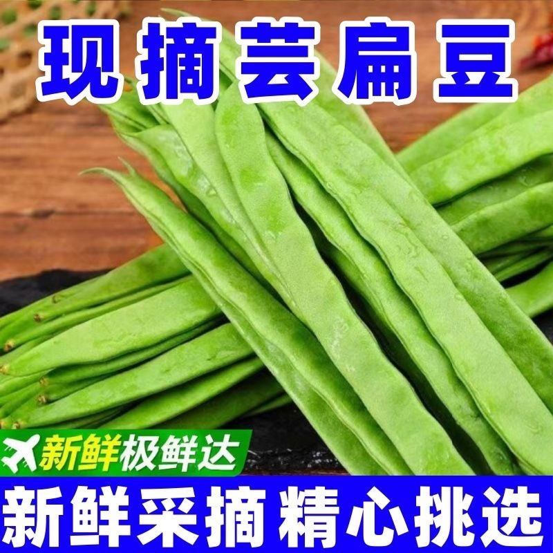 云南高山扁豆/产区直发/货源充足/欢迎选购