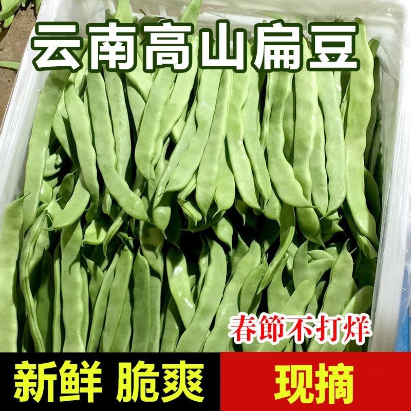 云南高山扁豆/产区直发/货源充足/欢迎选购