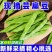 云南高山扁豆/产区直发/货源充足/欢迎选购