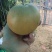 鲜花生，小米辣，梨成熟，需要的老板请联系