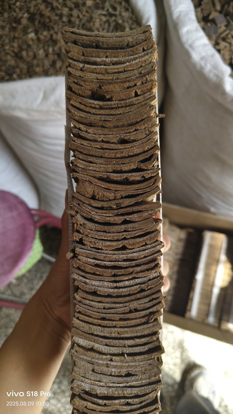 杜仲各种规格杜仲