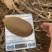 湖南湘西精品米良一号高山猕猴桃，绿色，富晒水果