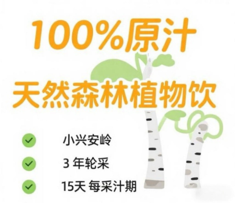 天然小兴安岭桦树汁大量供应货源充足，支持零售