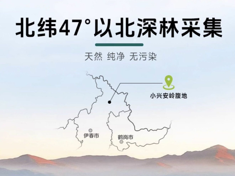 天然小兴安岭桦树汁大量供应货源充足，支持零售