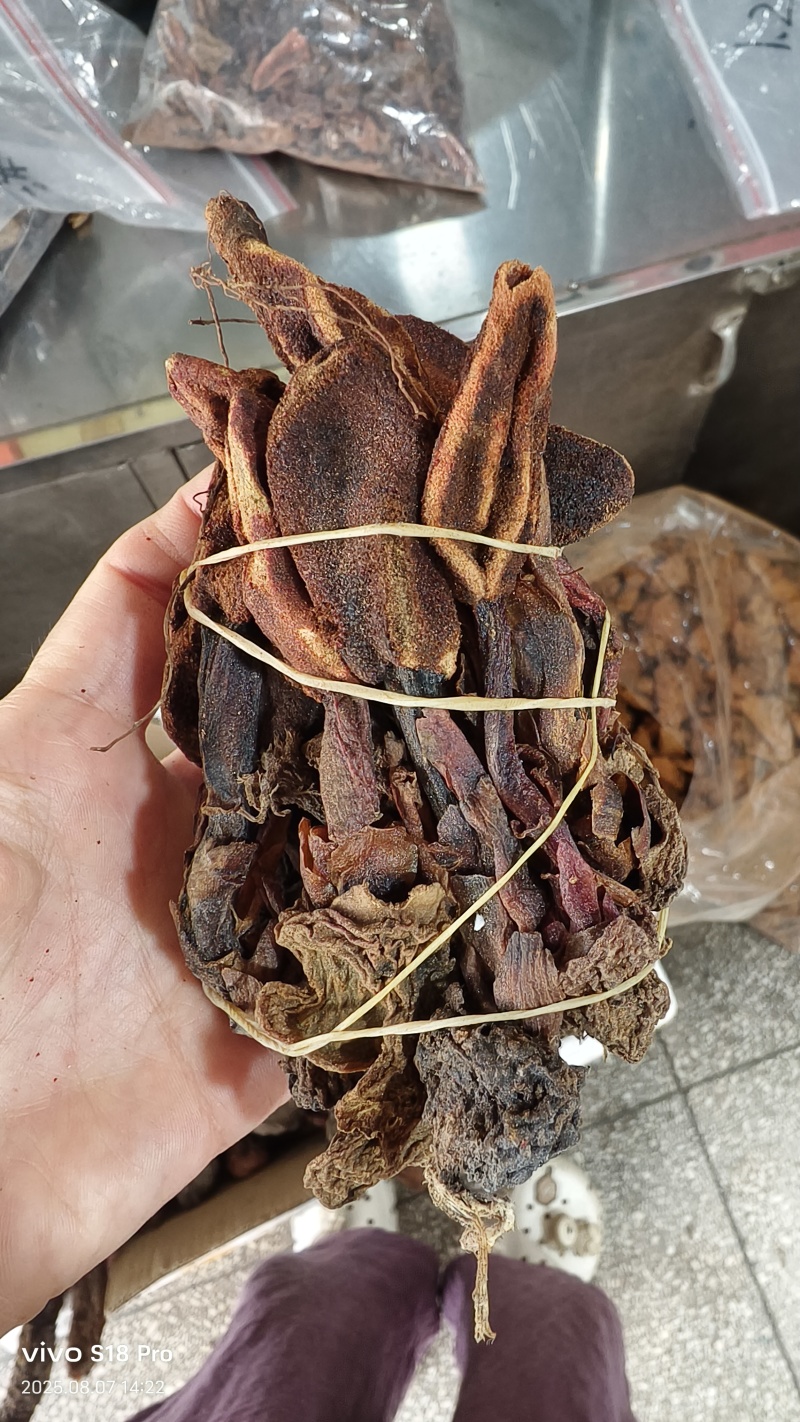 回春草各种规格