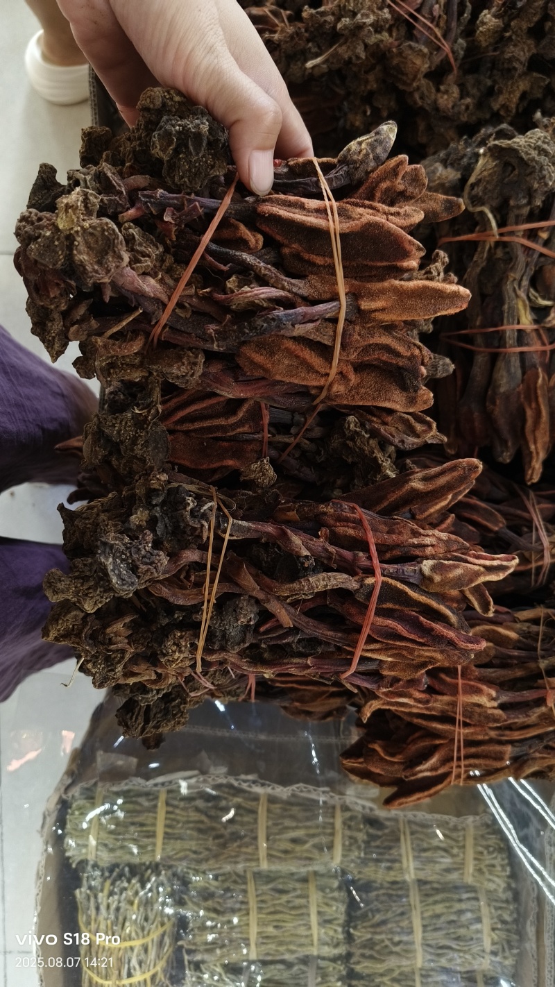 回春草各种规格