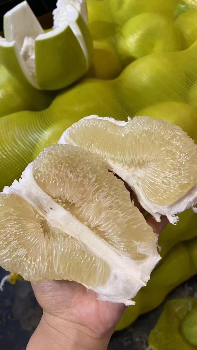 西双版纳东试早傣柚产地直发基地果品质佳皮薄肉厚汁水饱满