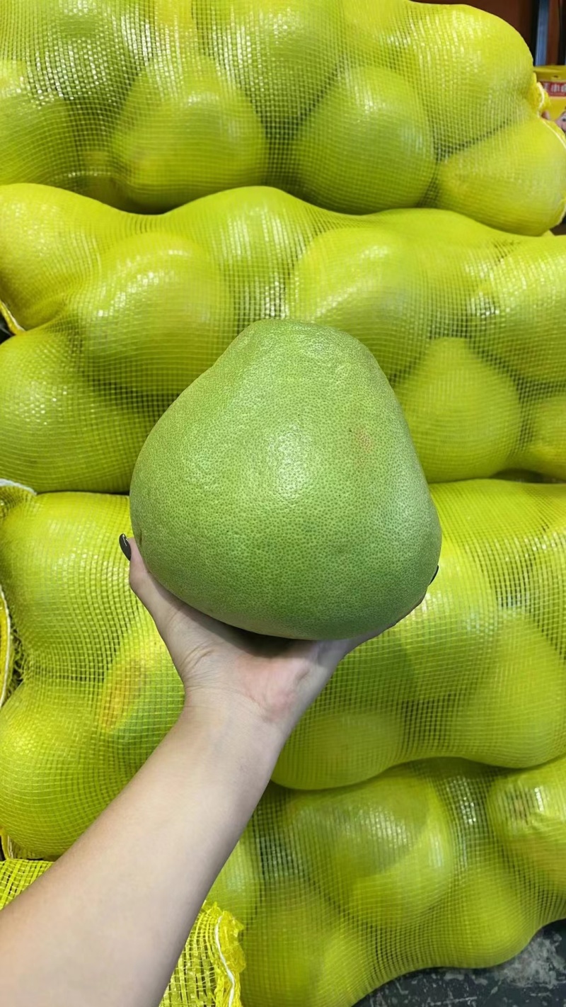 西双版纳东试早傣柚产地直发基地果品质佳皮薄肉厚汁水饱满