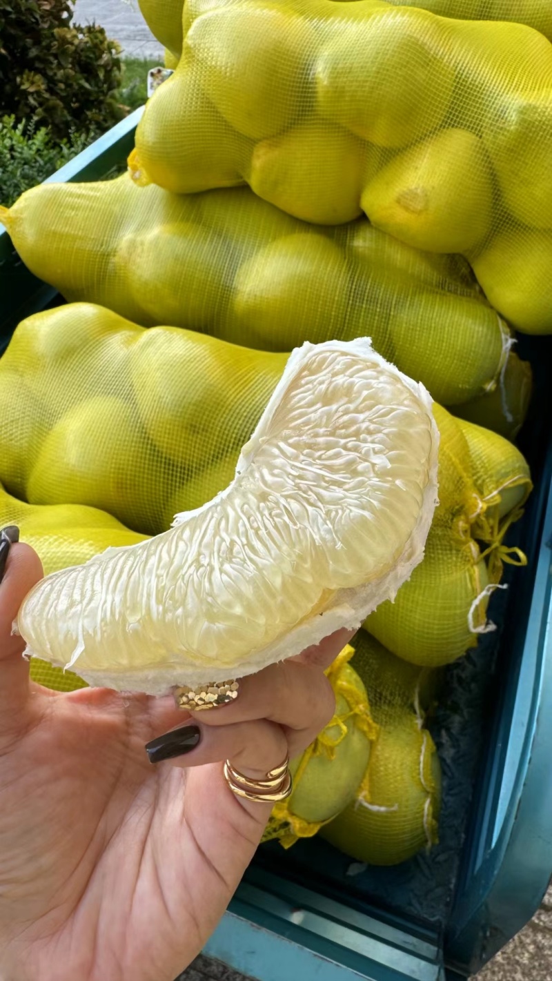 西双版纳东试早傣柚产地直发基地果品质佳皮薄肉厚汁水饱满