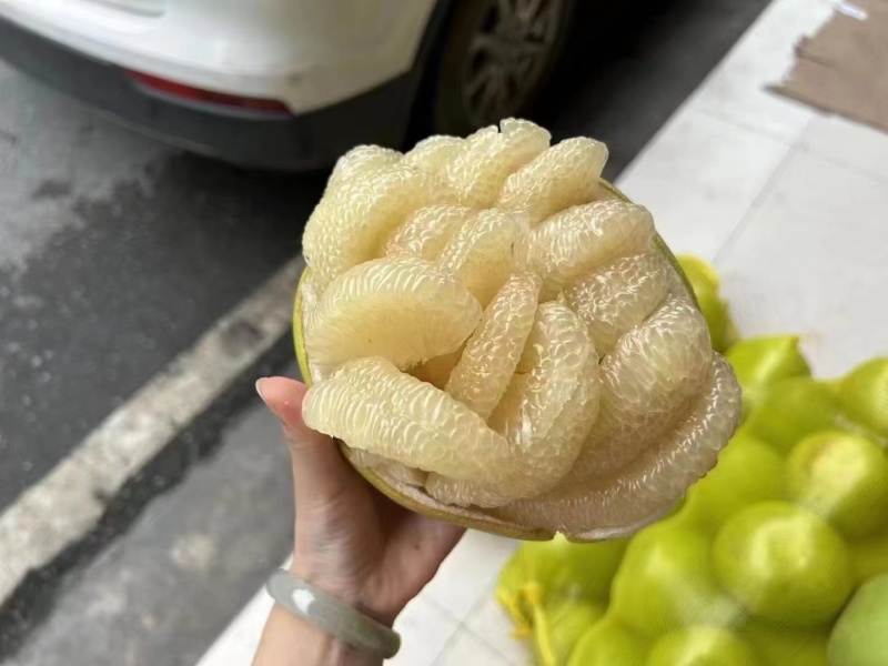 西双版纳东试早傣柚产地直发基地果品质佳皮薄肉厚汁水饱满