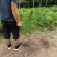 白皮松50公分起步油松华山松刺槐各种规格红豆杉