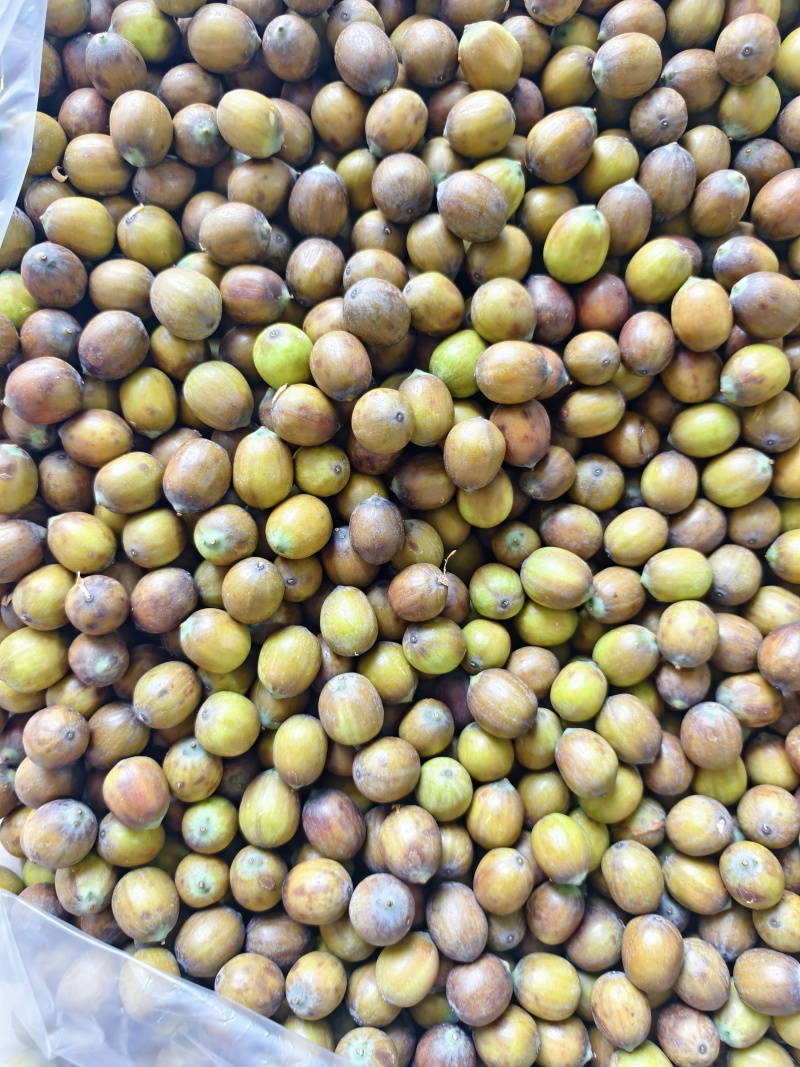 新鲜草莲花莲红莲老莲子煲汤炒菜摆摊