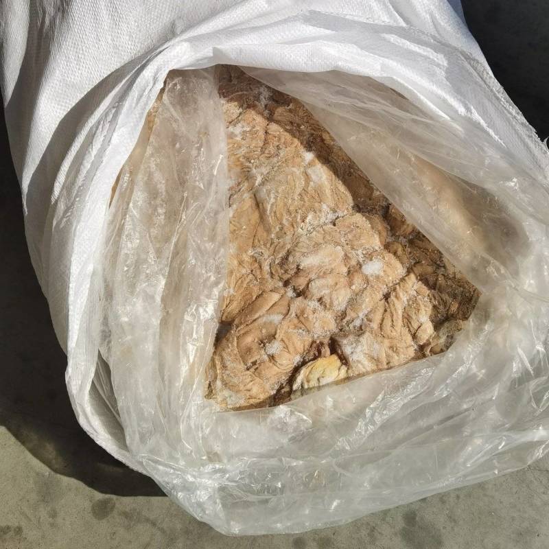 鲜马肠子