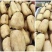 农户自产大量莲藕出售(非诚勿扰，诚信出售)