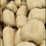 农户自产大量莲藕出售(非诚勿扰，诚信出售)