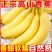 《香蕉批发》商丘柘城香蕉批发零售全年有货保质保量