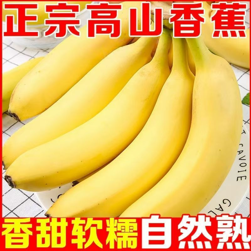 《香蕉批发》商丘柘城香蕉批发零售全年有货保质保量