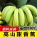 《香蕉批发》商丘柘城对接周边客商全年有货量大从优