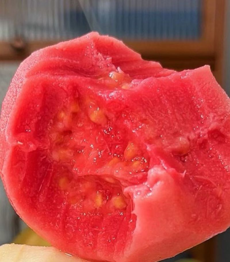 红心番石榴