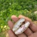 云南七彩花生鲜花生产地直供量从优欢迎联系