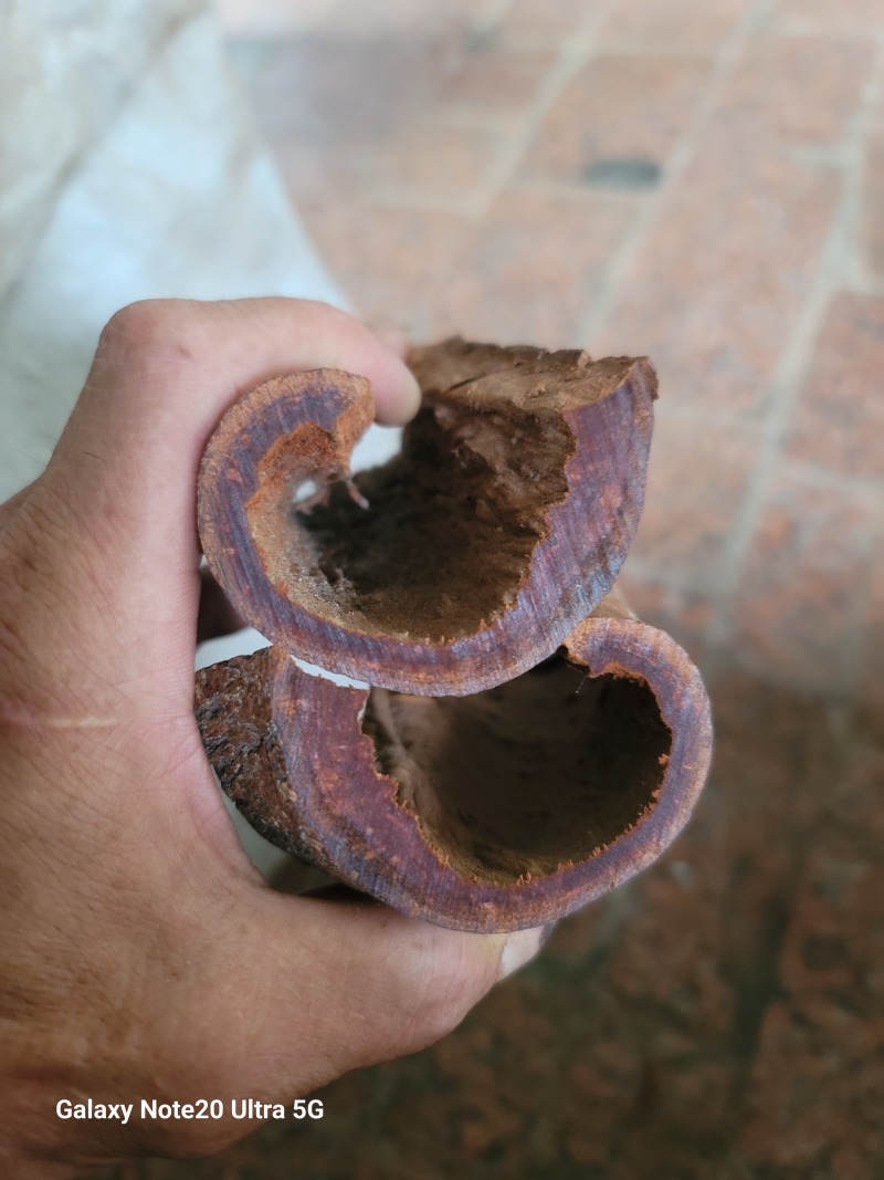 油桂皮碎卤料炖料粉料油分高香醇浓厚醇高性价比