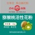 猕猴桃人工授粉花粉厂家批发志融花粉厂家直发