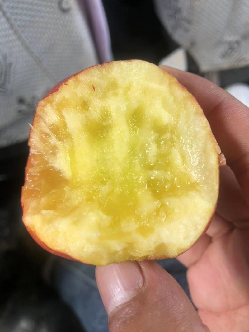 云南特早熟红糖心苹果，高山原生态种植，支持商超，一件代发