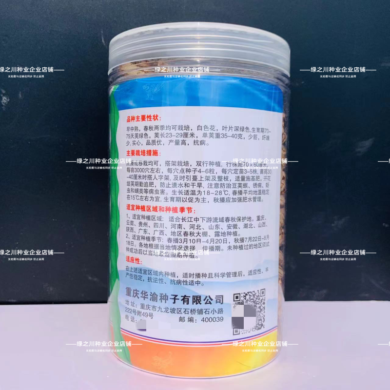 大青肉豆种子九粒青架豆种子少筋芸豆纤维少高产实心四季豆