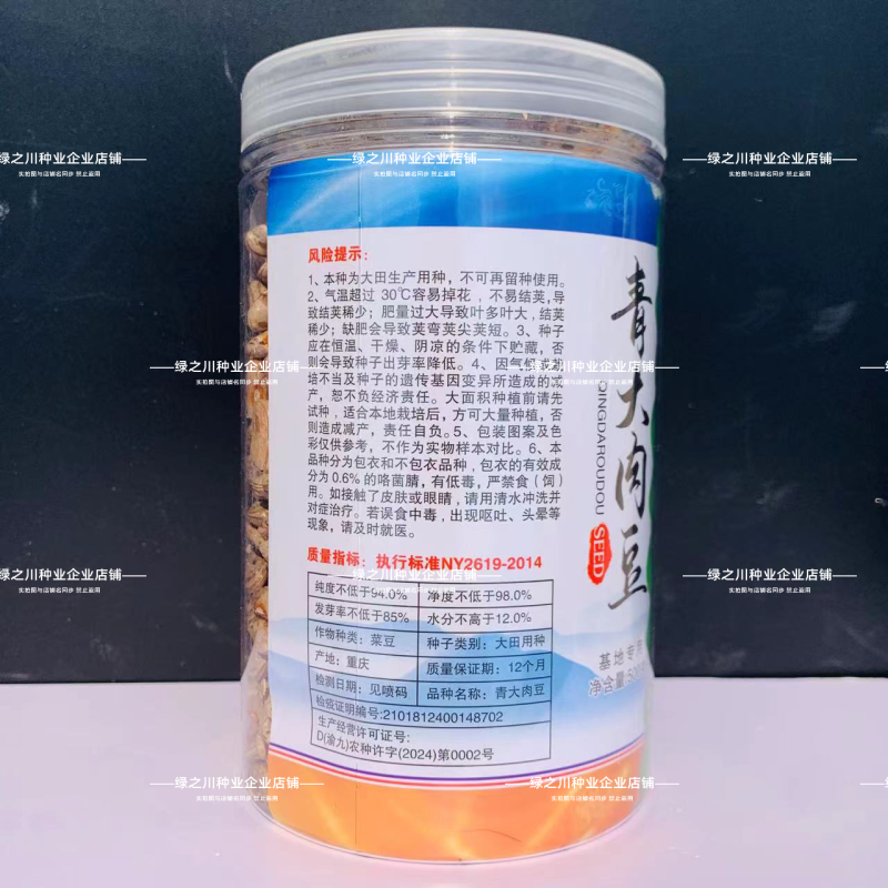大青肉豆种子九粒青架豆种子少筋芸豆纤维少高产实心四季豆