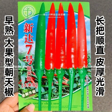 新达7号朝天椒种子早熟深绿特大果朝天椒种籽长把顺直硬度好
