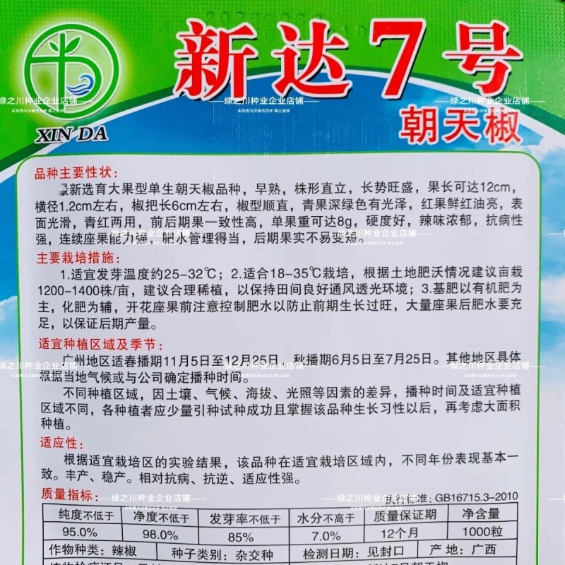 新达7号朝天椒种子早熟深绿特大果朝天椒种籽长把顺直硬度好