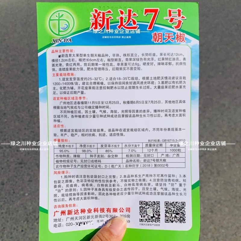 新达7号朝天椒种子早熟深绿特大果朝天椒种籽长把顺直硬度好