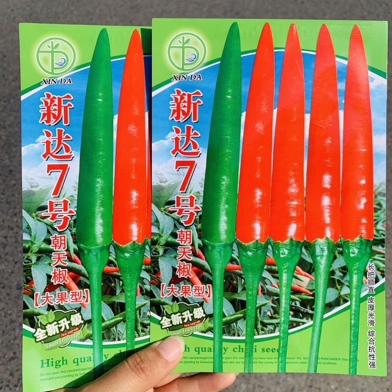 新达7号朝天椒种子早熟深绿特大果朝天椒种籽长把顺直硬度好
