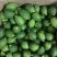 香水柠檬